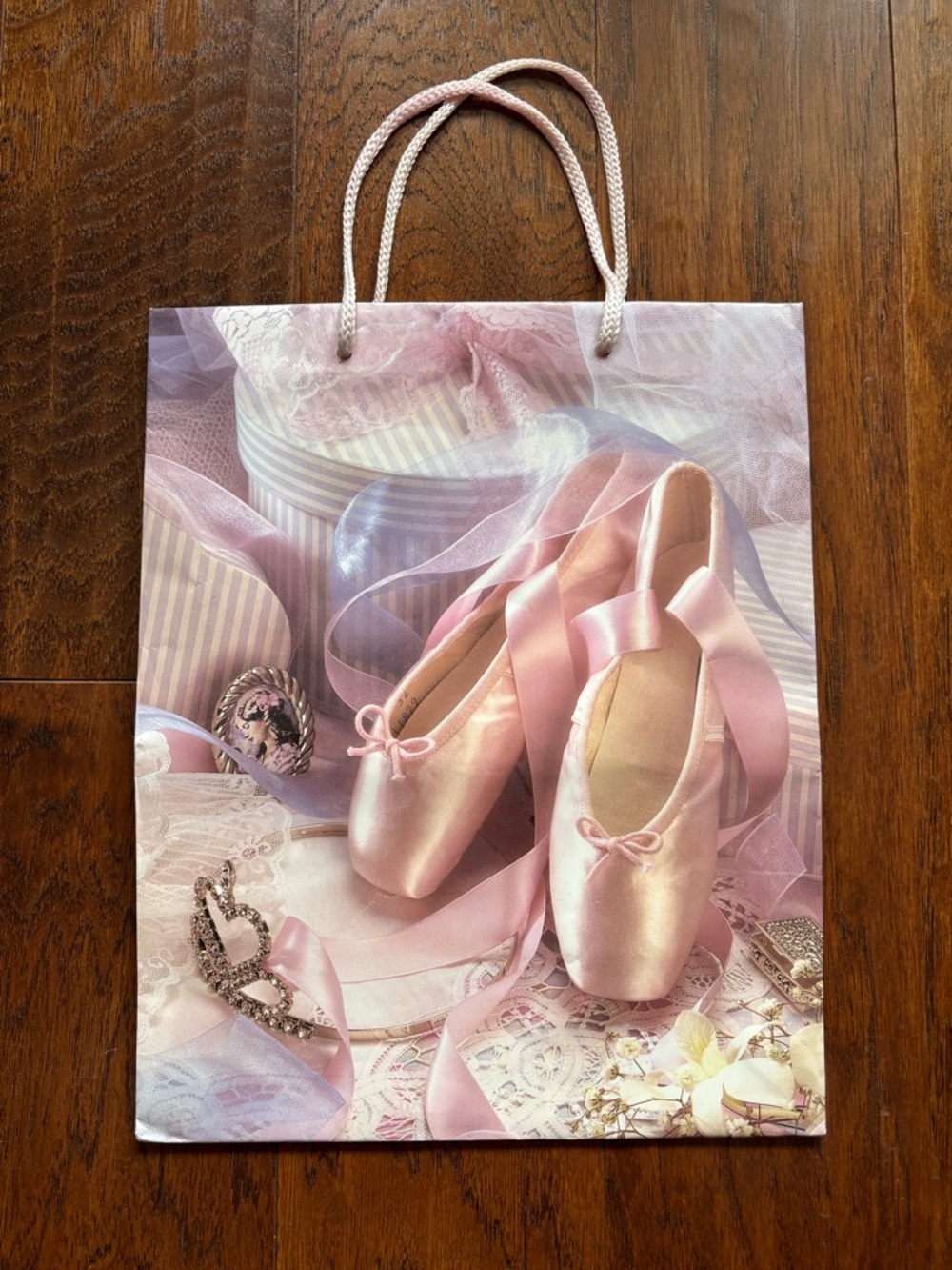 Vintage Flomo Pink Ballet Slippers Gift Bag